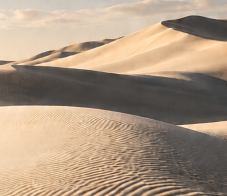 Dune