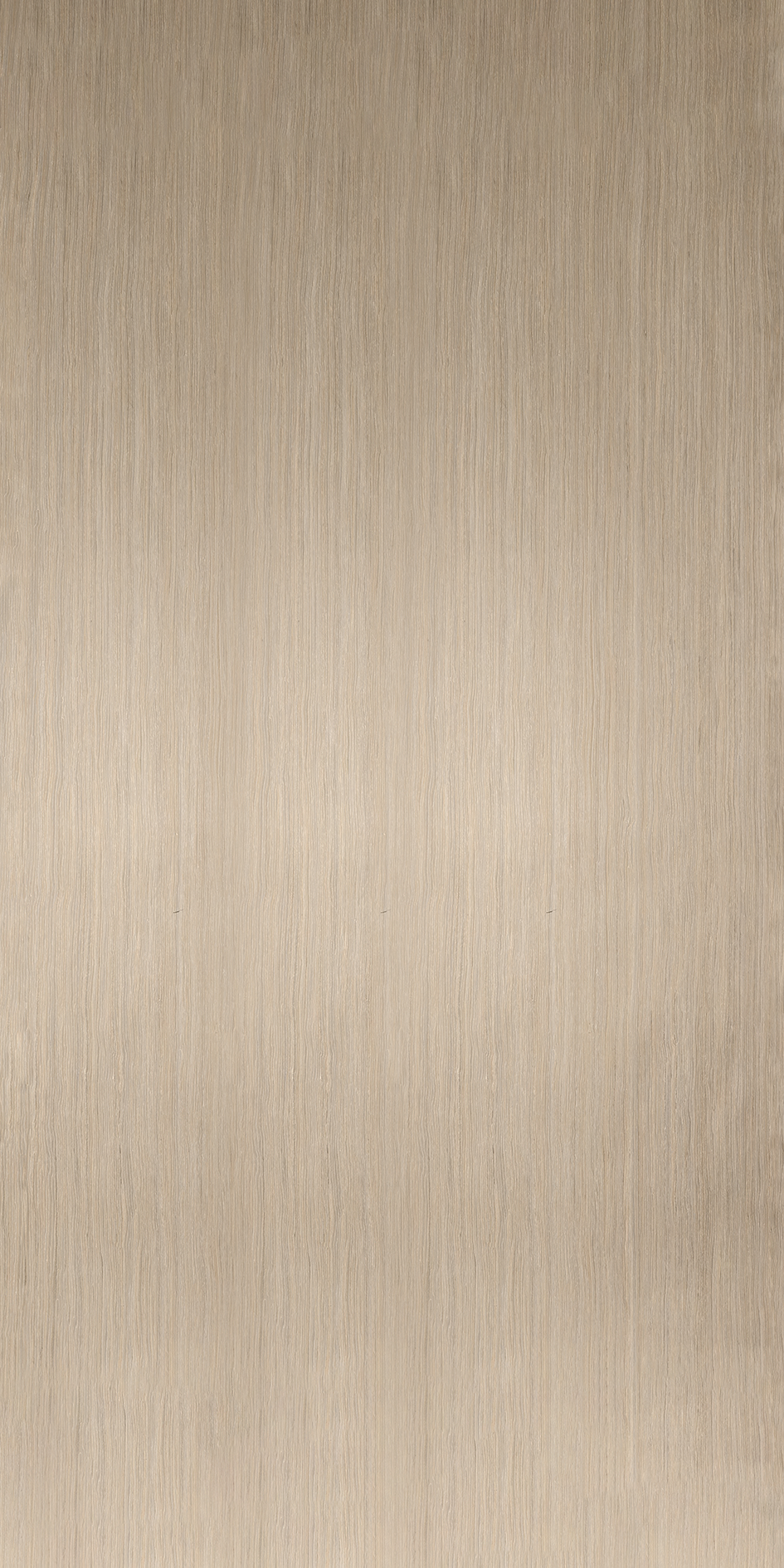 BWV-004