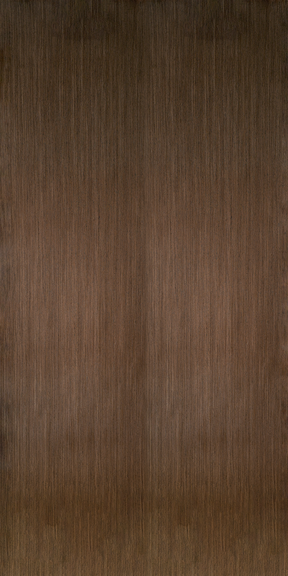 BWV-013