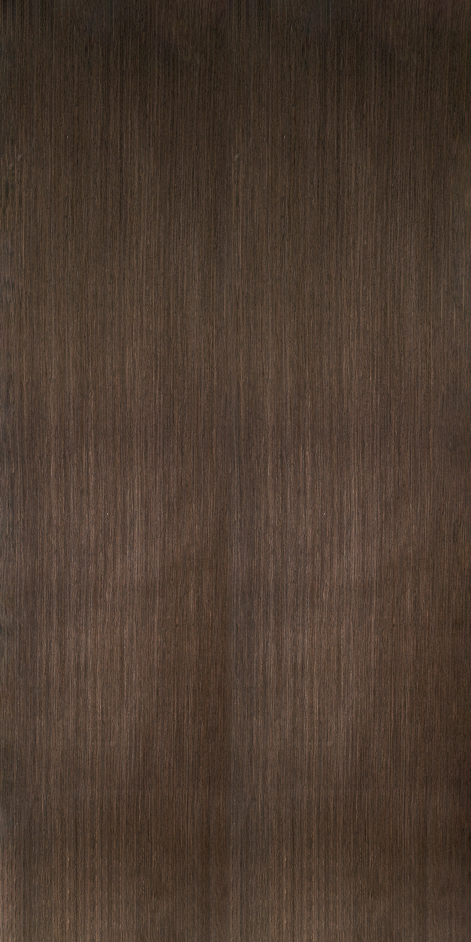 BWV-015