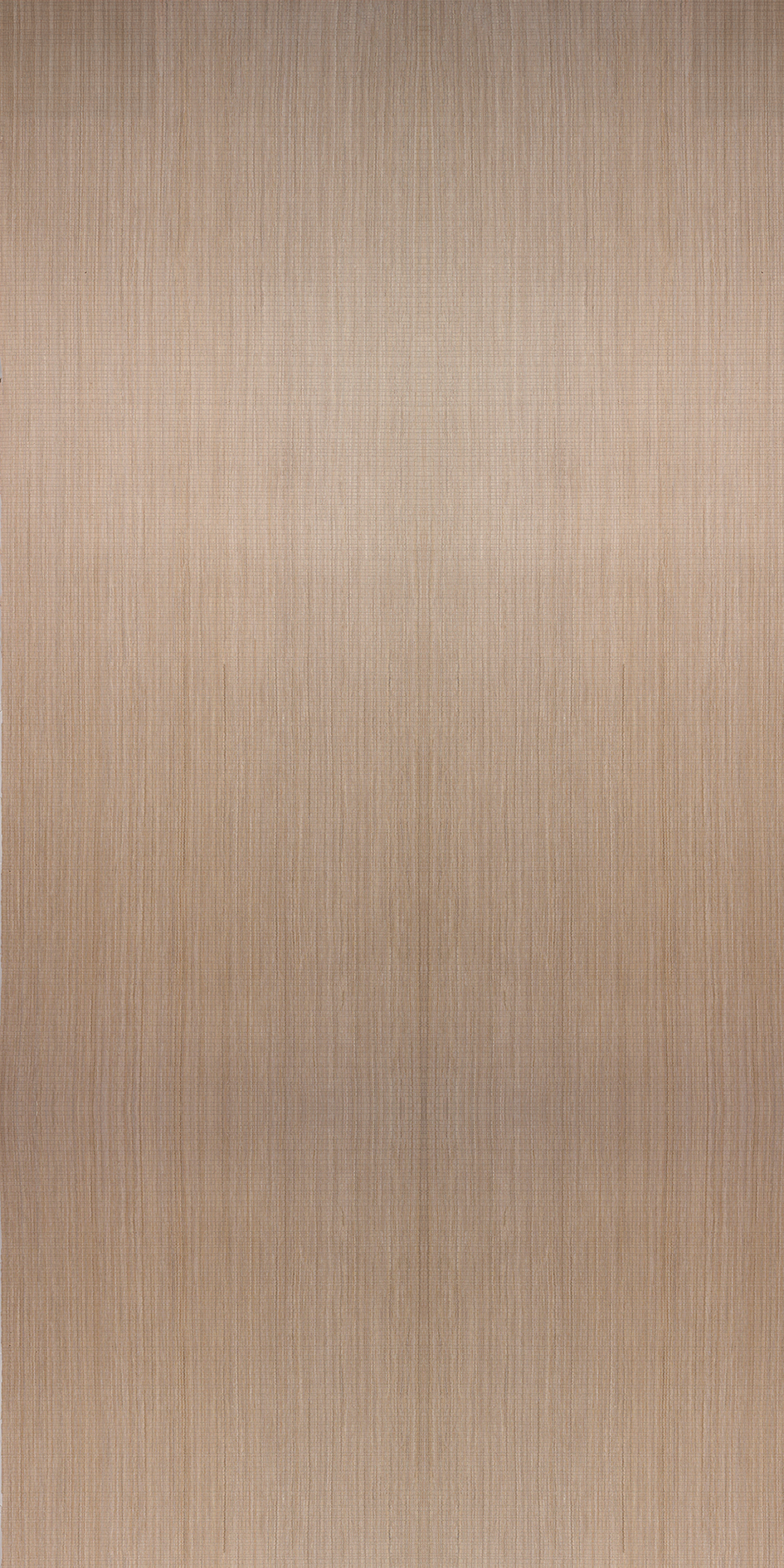 CSEV-002
