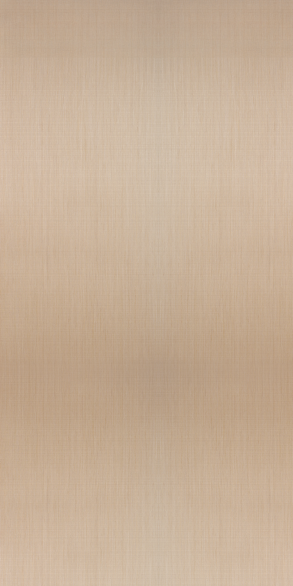 CSEV-003