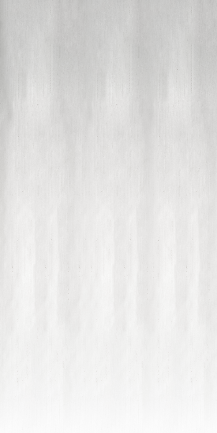 CSEV-011