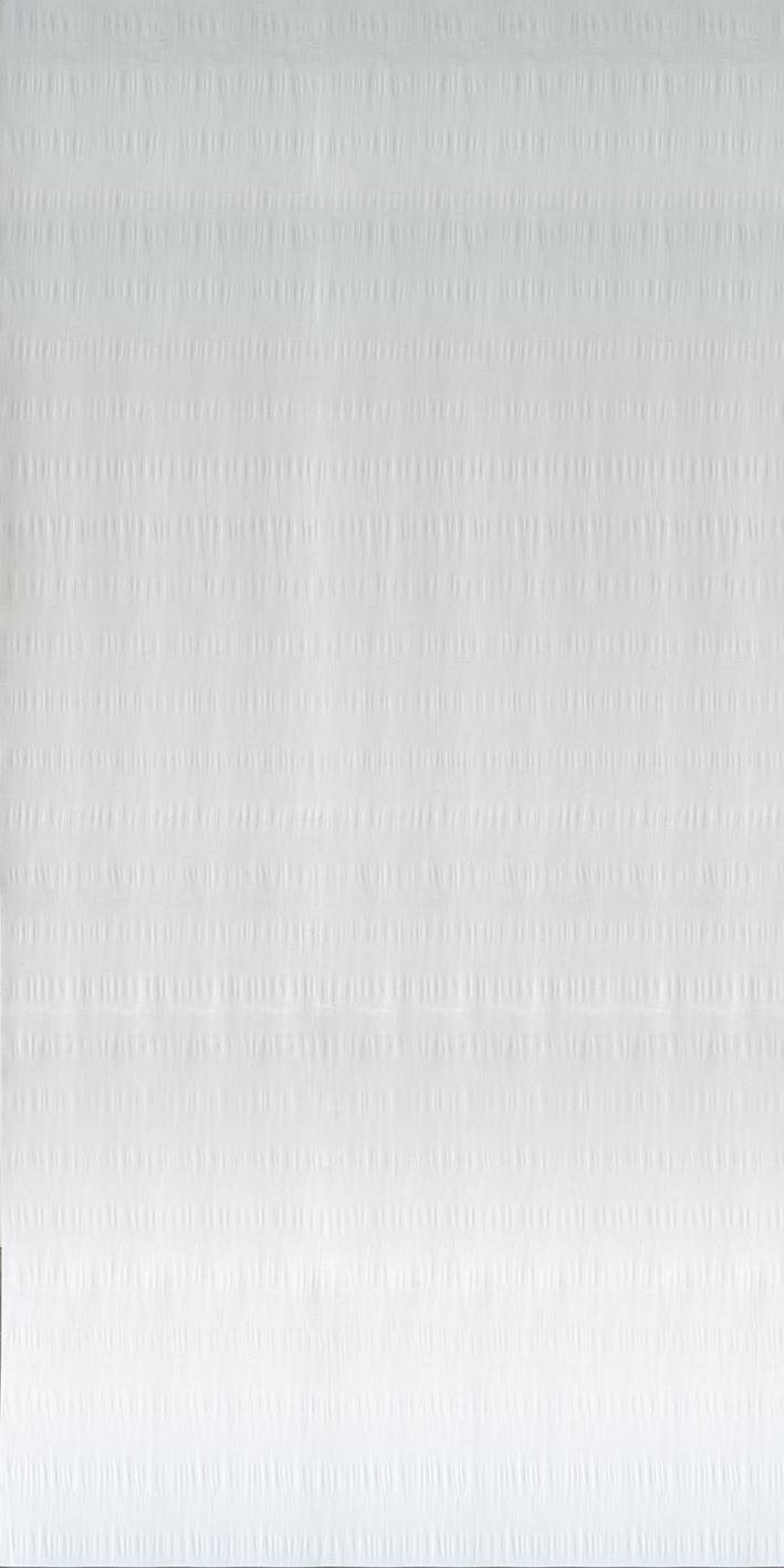 CSEV-012