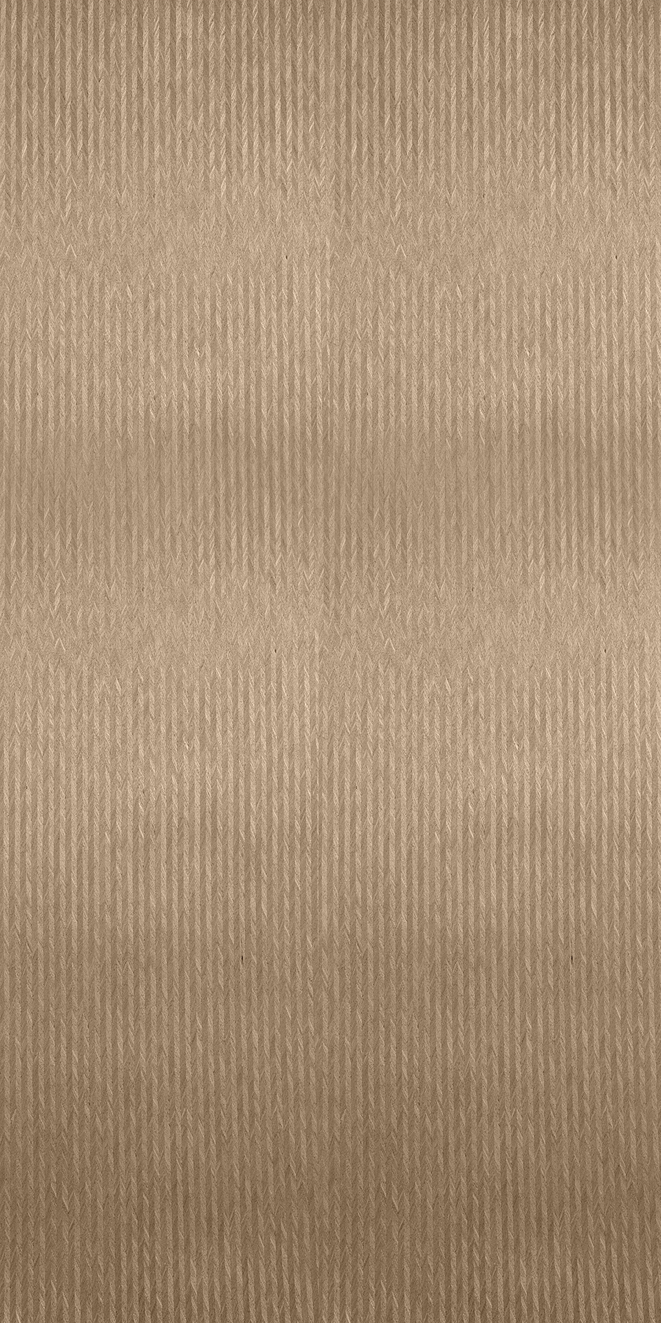 DNEV-004