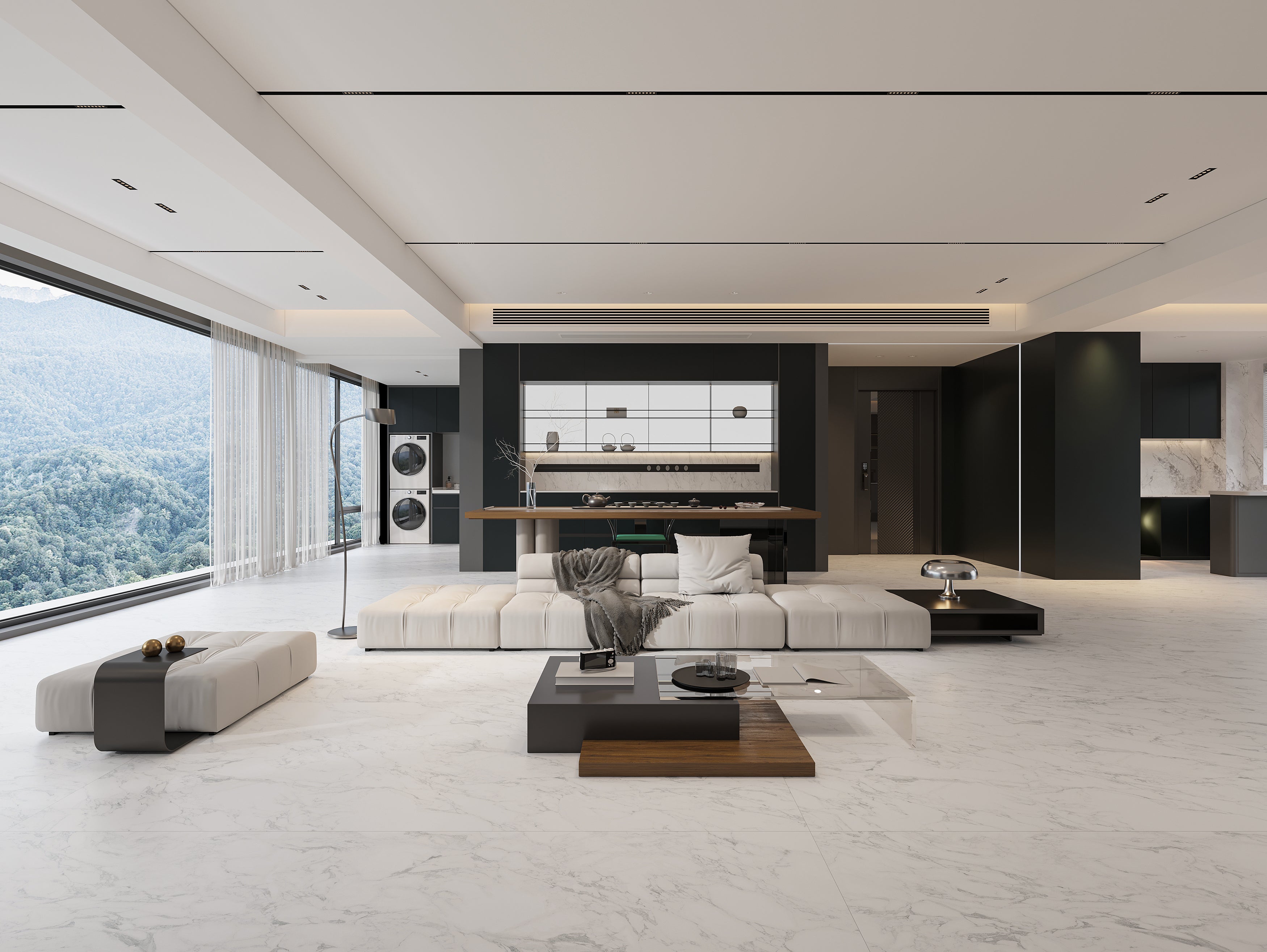 THE NEW RETICULATION