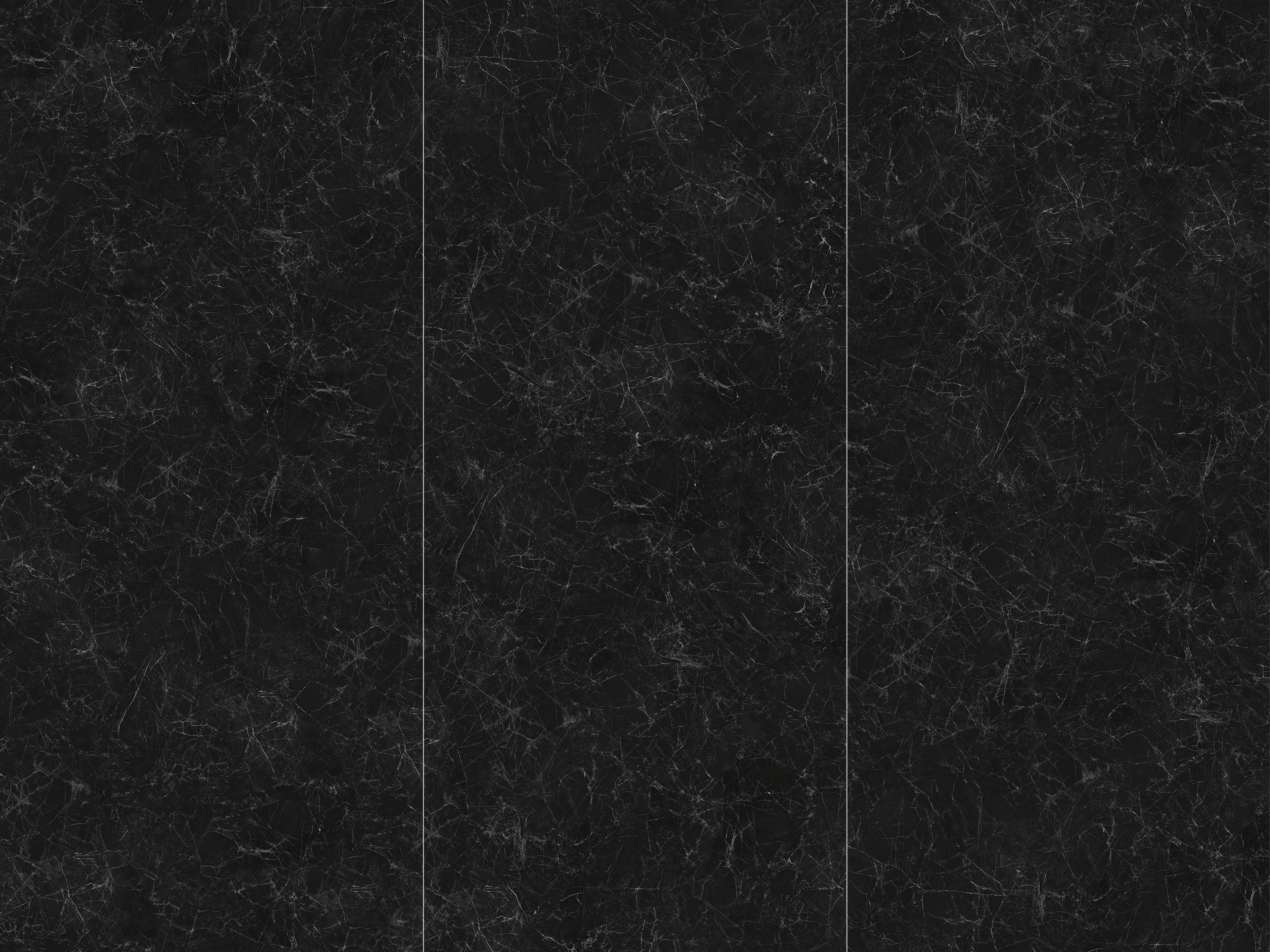 RETICULATED BLACK AND WHITE ROOT