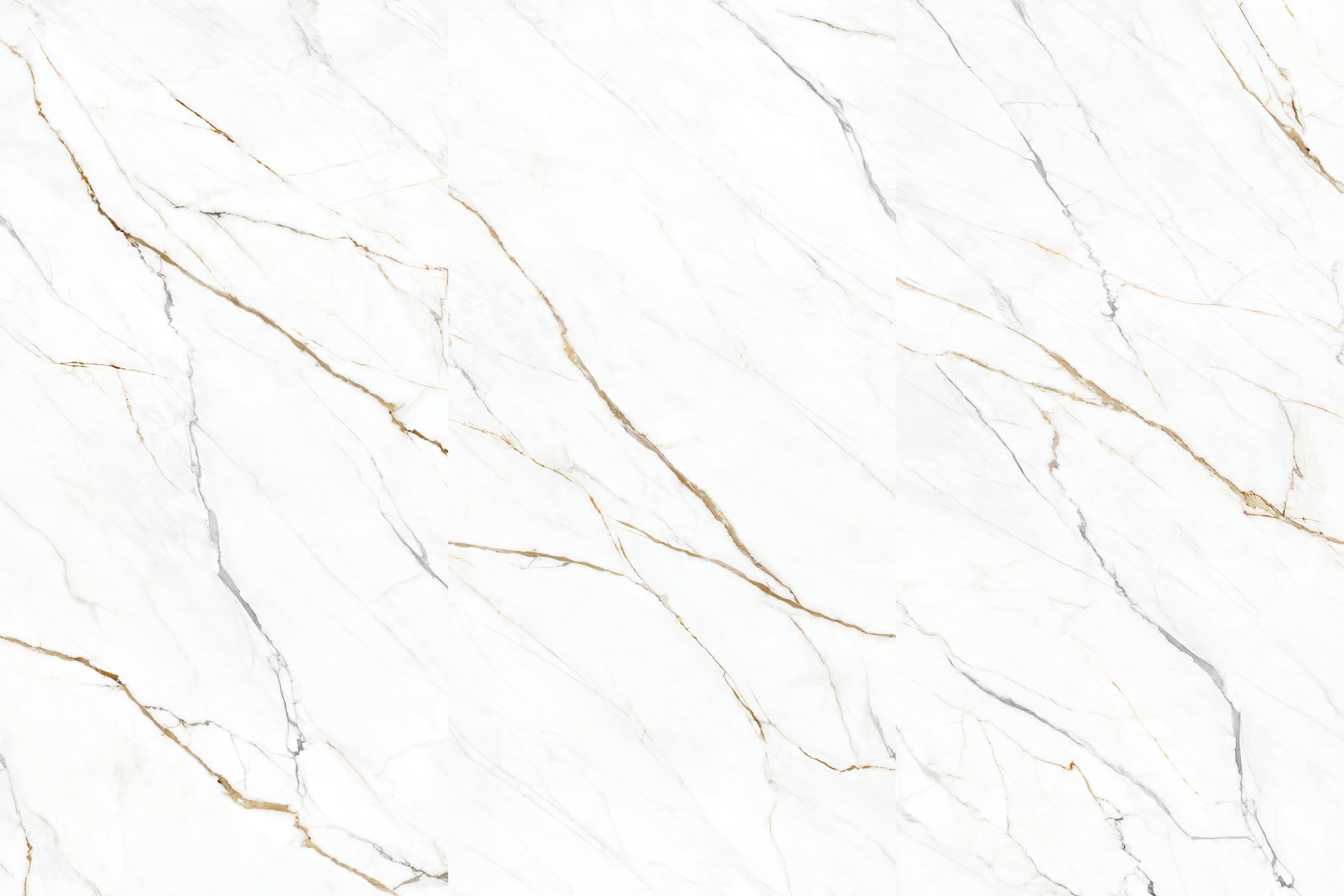 NORWEGIAN COD BELLY GOLD