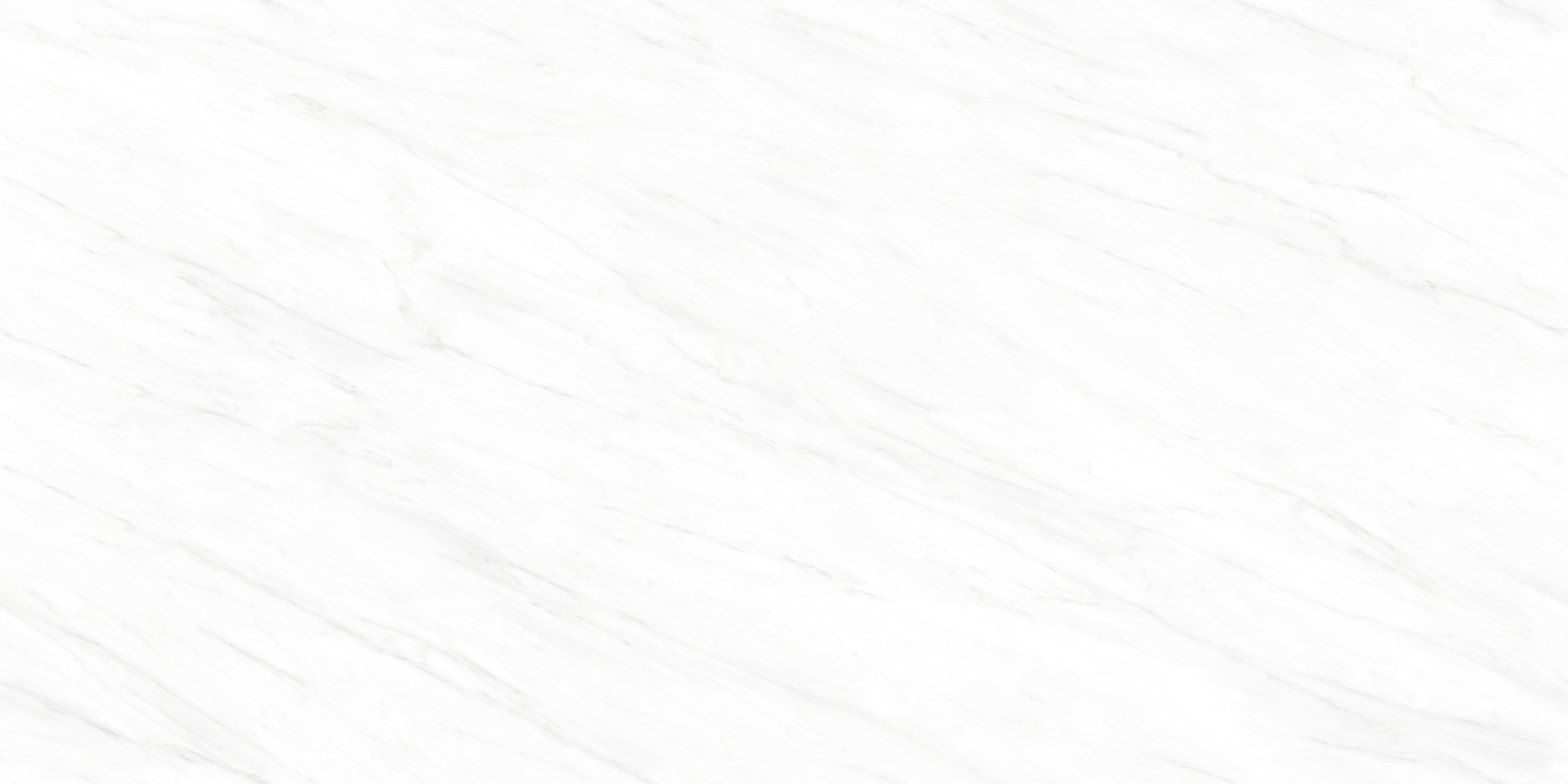 SPECIAL GRADE ELEGANT WHITE