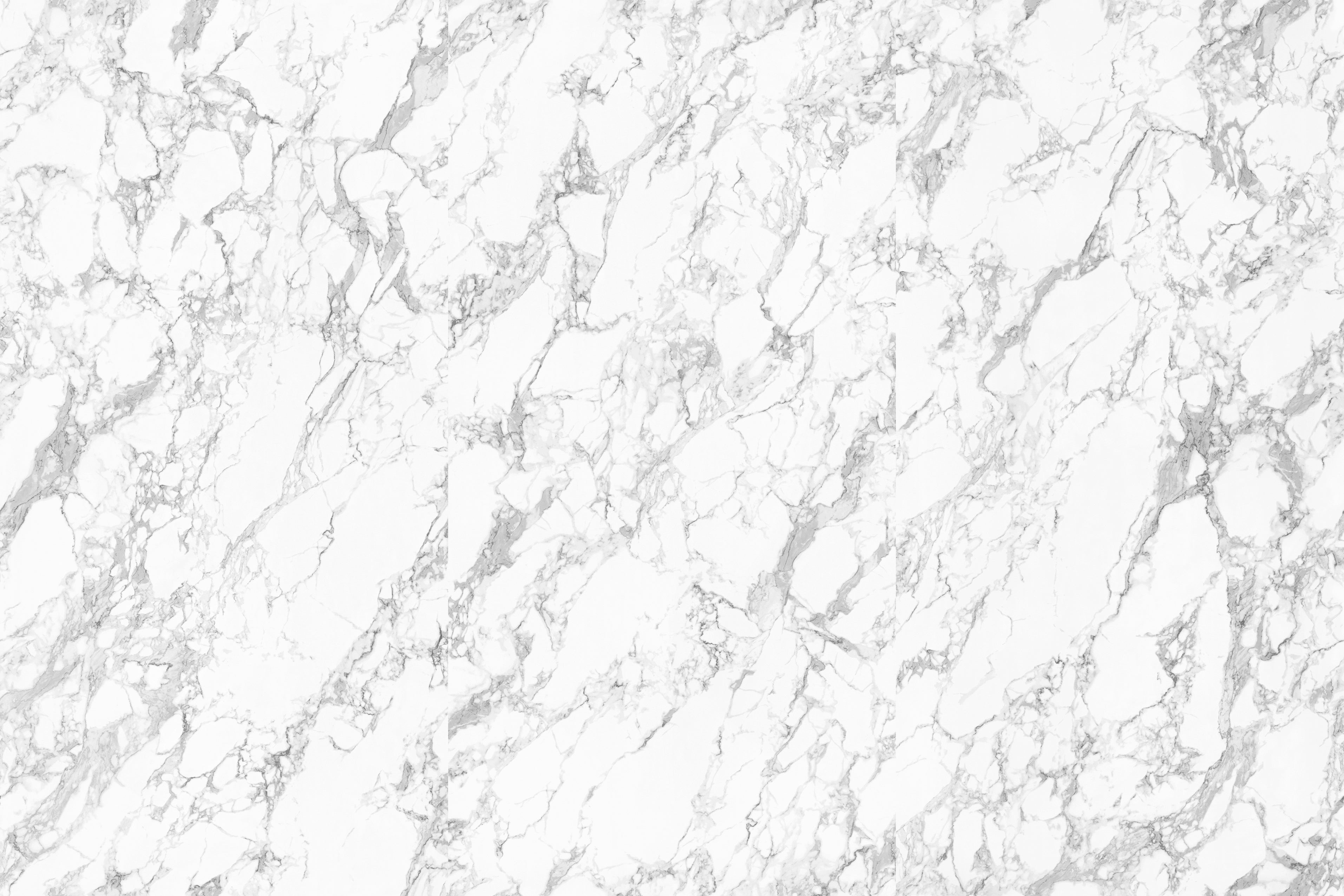 NET- PATTERNED BIG WHITE FLOWER