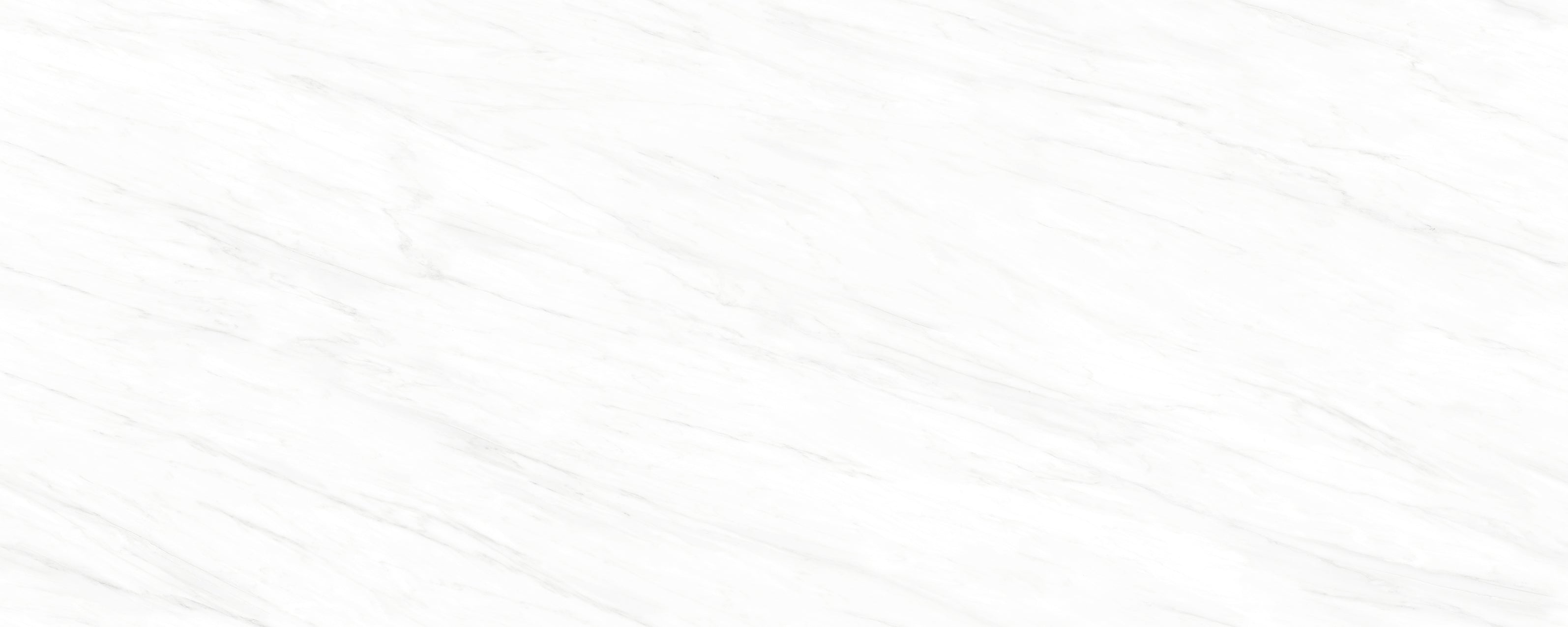 SPECIAL GRADE ELEGANT  WHITE