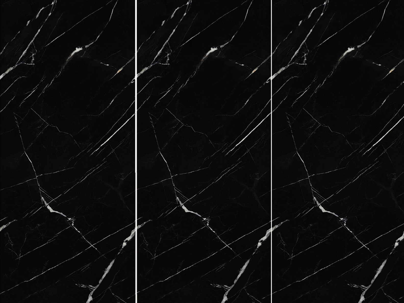 NEW BLACK AND WHITE ROOT