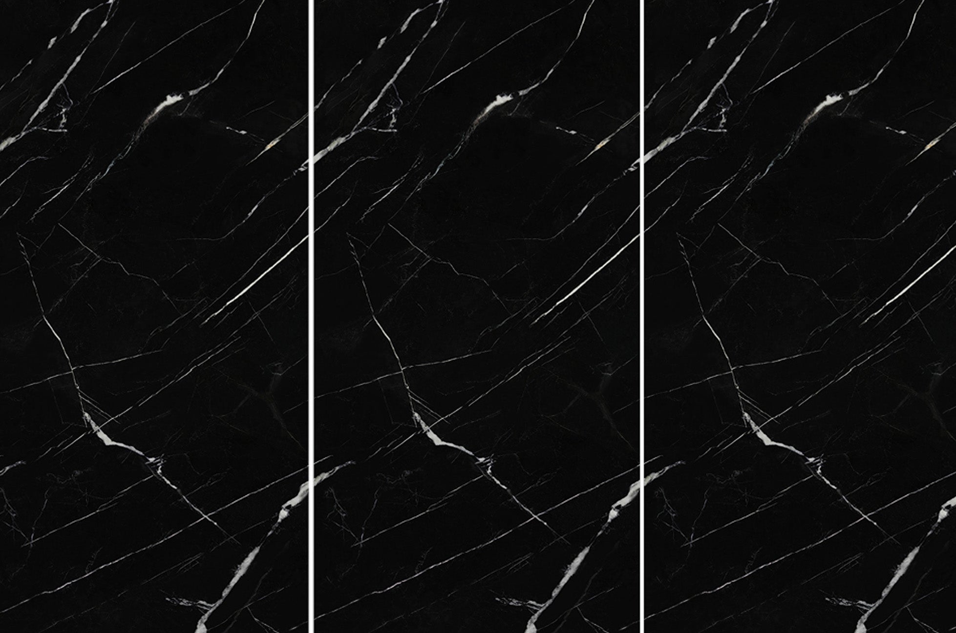 NEW BLACK AND WHITE ROOT